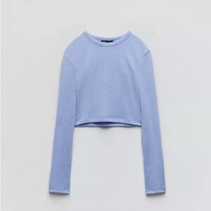 Zara Long Sleeve Crop Top